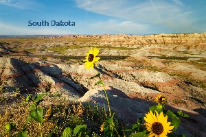 south dakota-Bearbeitet-Bearbeitet